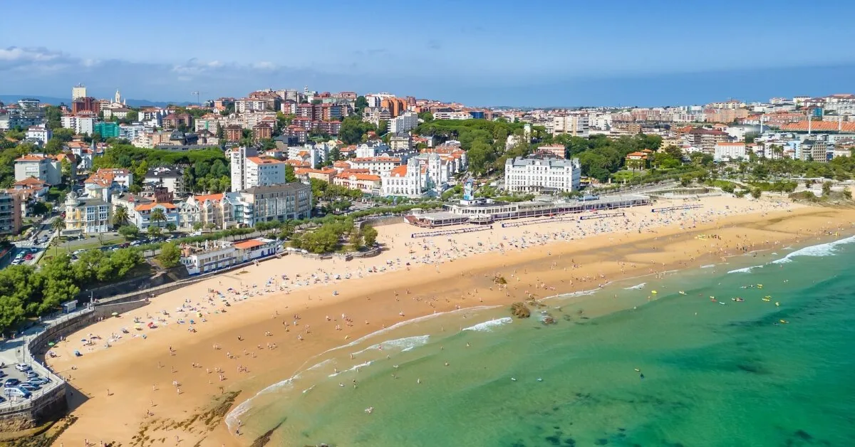 Warning for those traveling to Spain: invasion of dangerous creatures on the beaches, 800 people have already been affected