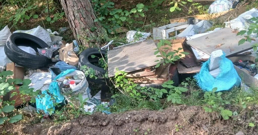 In the forests of Trakai – tons of waste again, three polluters identified
