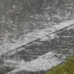 Predicted rainy but quite warm weather