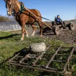 Farmers can now submit applications under the updated conditions for agricultural working capital loans