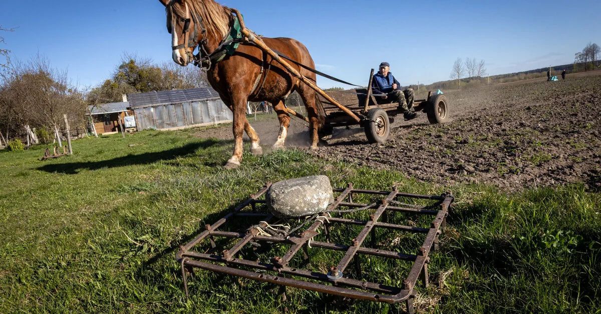Farmers can now submit applications under the updated conditions for agricultural working capital loans