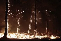 Forest fire in Spain