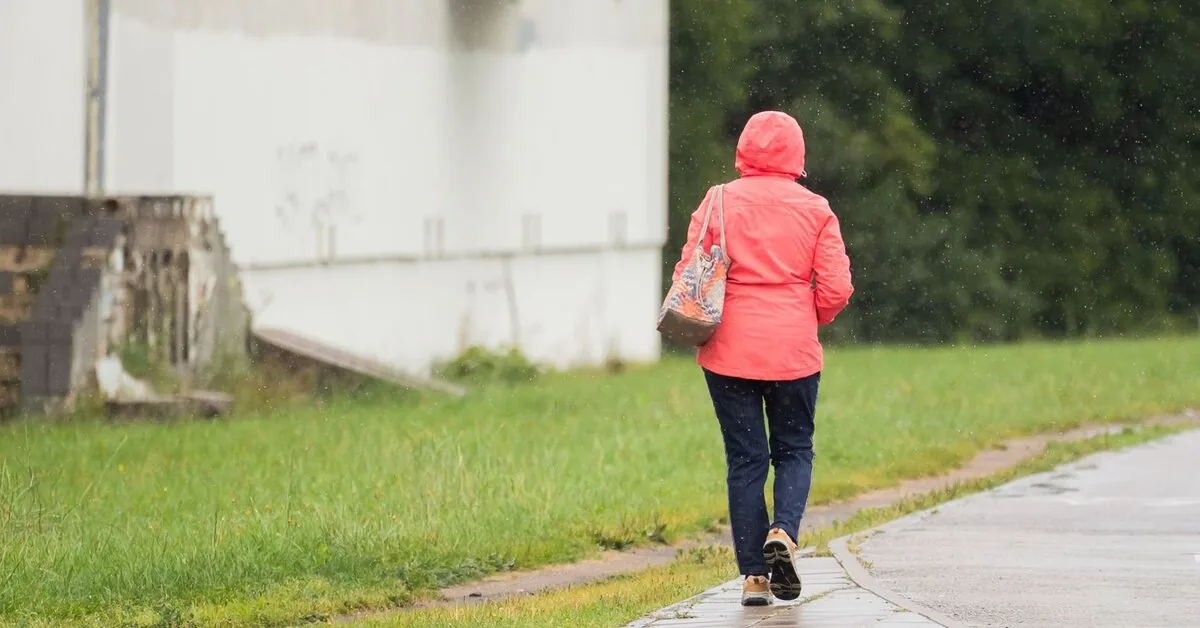 Stormy weather will reach Lithuania: some areas will see very heavy rain