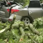 Trees crushed the car, the roof flew into the neighbor's yard: who will pay for the damage caused by the storm?