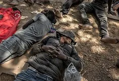Migrant crisis in Ceuta