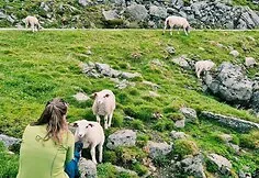 Norvegija
