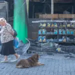 Russia's revenge on Ukraine: how beloved places were turned into ticking bombs