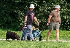 Festivalio „Regykla“ dalyviai