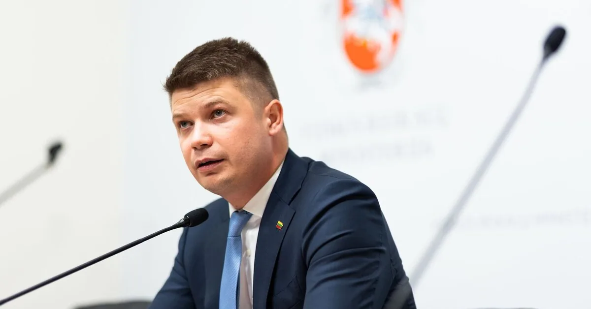 Martynas Katelynas says that the procedure for using weapons by VSAT will be adjusted