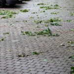 Almost all over Poland – warnings about extreme weather