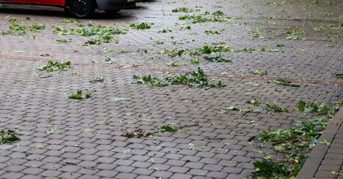 Almost all over Poland – warnings about extreme weather
