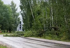 Consequences after the strong storm in Vilnius