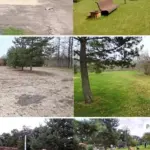 In Palanga, a repeated violation was detected: released state land is occupied again