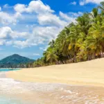 Thai French family rescued after 16 hours floating at sea