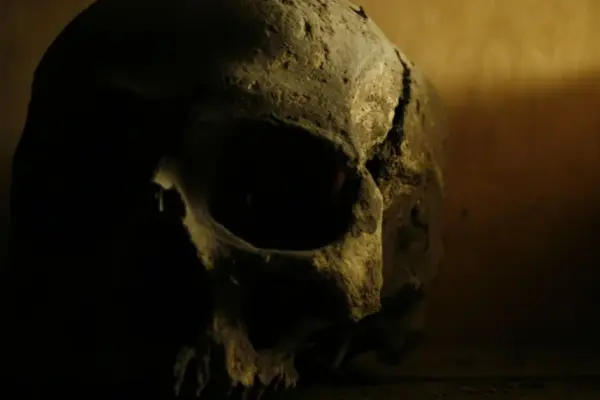 Police have launched an investigation into the skull found in the cemetery