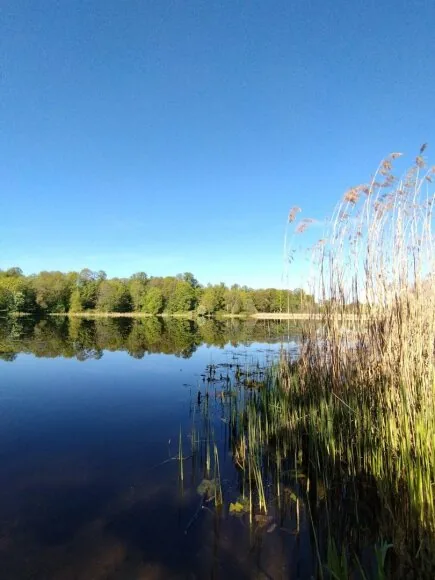 15min reader Jūratė's photo/Buivydiškės ponds earlier