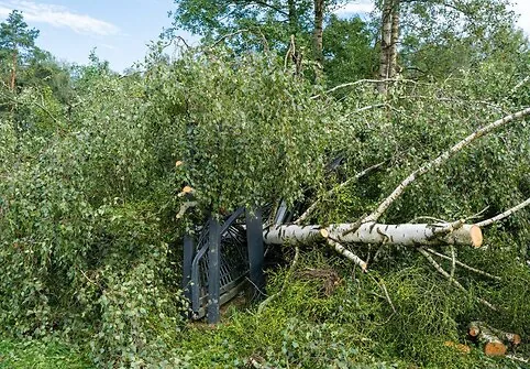 The storm caused a lot of damage in Druskininkai municipality