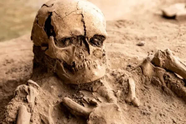 Scientists' discovery changes the view on human origin: DNA found traces of "ancestral ghosts"