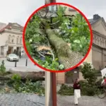 Captured the apocalypse in the heart of Vilnius: the storm laid everything down