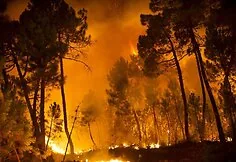 Forest fire in Spain