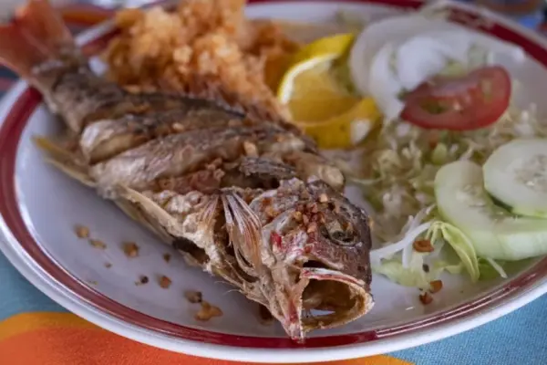 Usually prepared impressive trout in tea marinade with fresh cucumber salsa