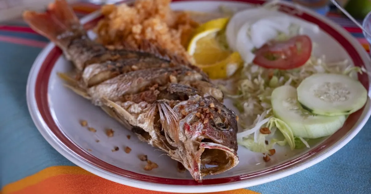 Usually prepared impressive trout in tea marinade with fresh cucumber salsa