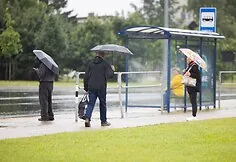 Rain-filled Tuesday