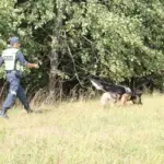 Woman who disappeared in the forest on Sunday found on Thursday