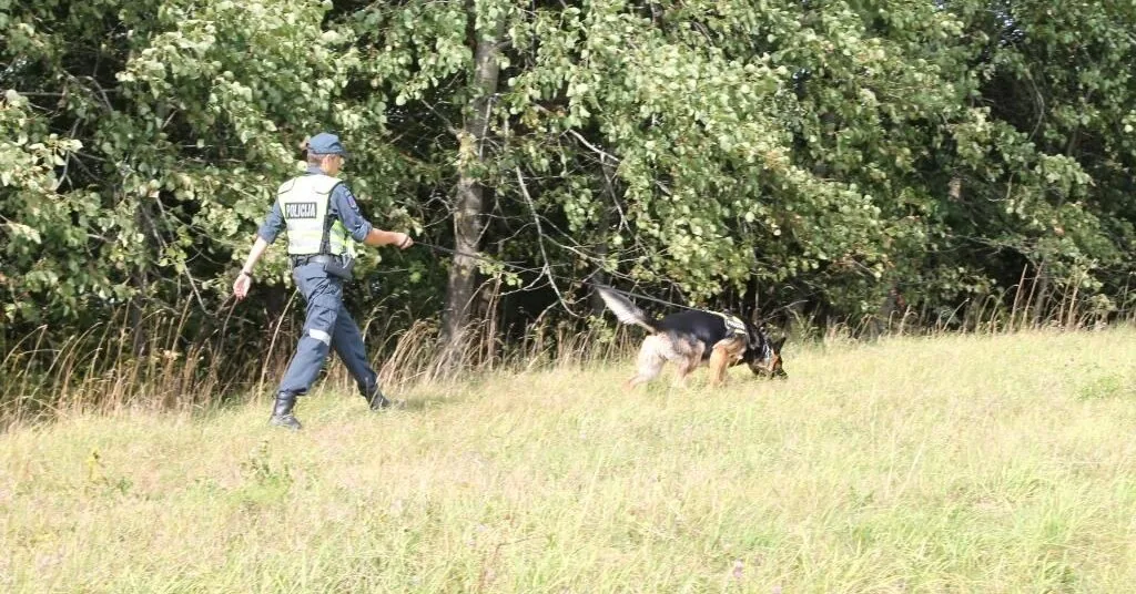 Woman who disappeared in the forest on Sunday found on Thursday