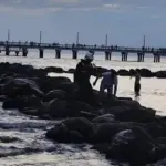 A 17-year-old young man from Poland drowned in the sea in Palanga