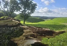 The Kernavė archaeological site was severely damaged during the storm