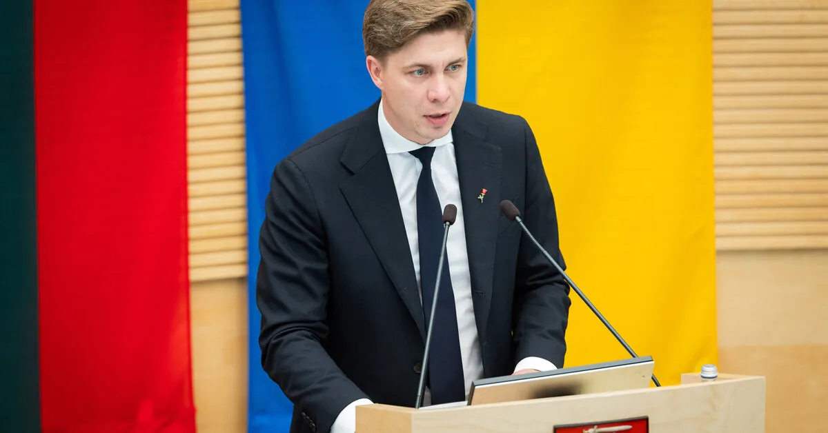 Mindaugas Sinkevičius: Lithuania needs an effective universal defense system