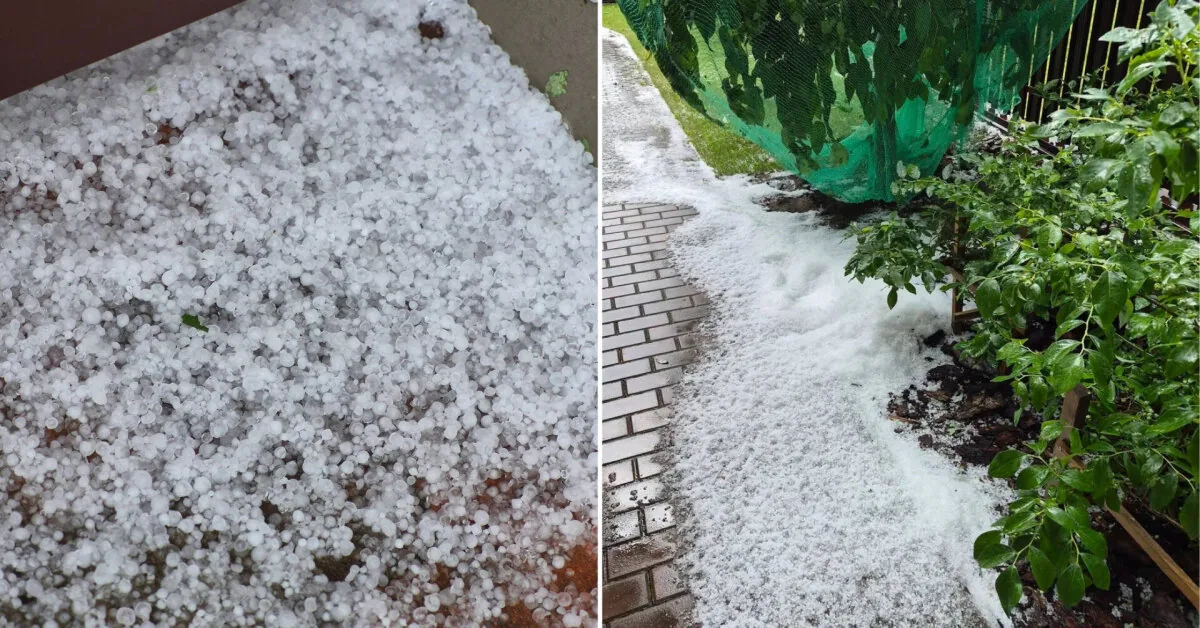 Stormy weather sweeps across Lithuania: Hail in Samogitia