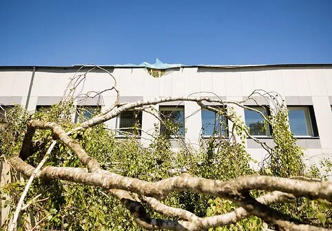 Monday in Vilnius district after a stormy weekend
