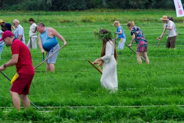 Mower Championship to be held in Nemunas Delta Regional Park
