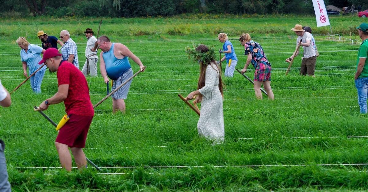 Mower Championship to be held in Nemunas Delta Regional Park