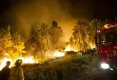 Forest fire in Spain