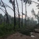 The aftermath of the storm that ravaged Lithuania becomes clear