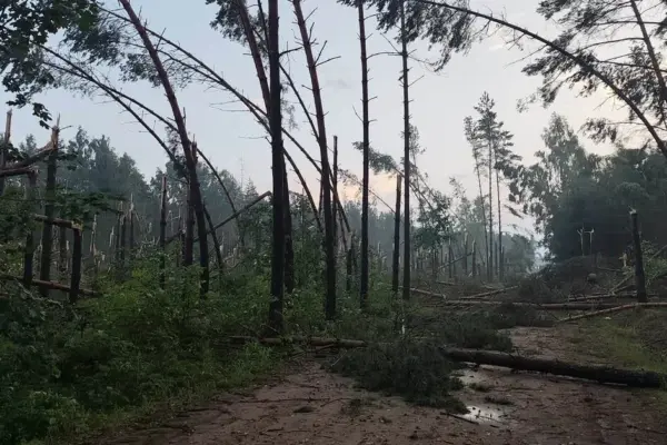 Meteorologist – about the storm: "Lithuania avoided a worse scenario, which was real"