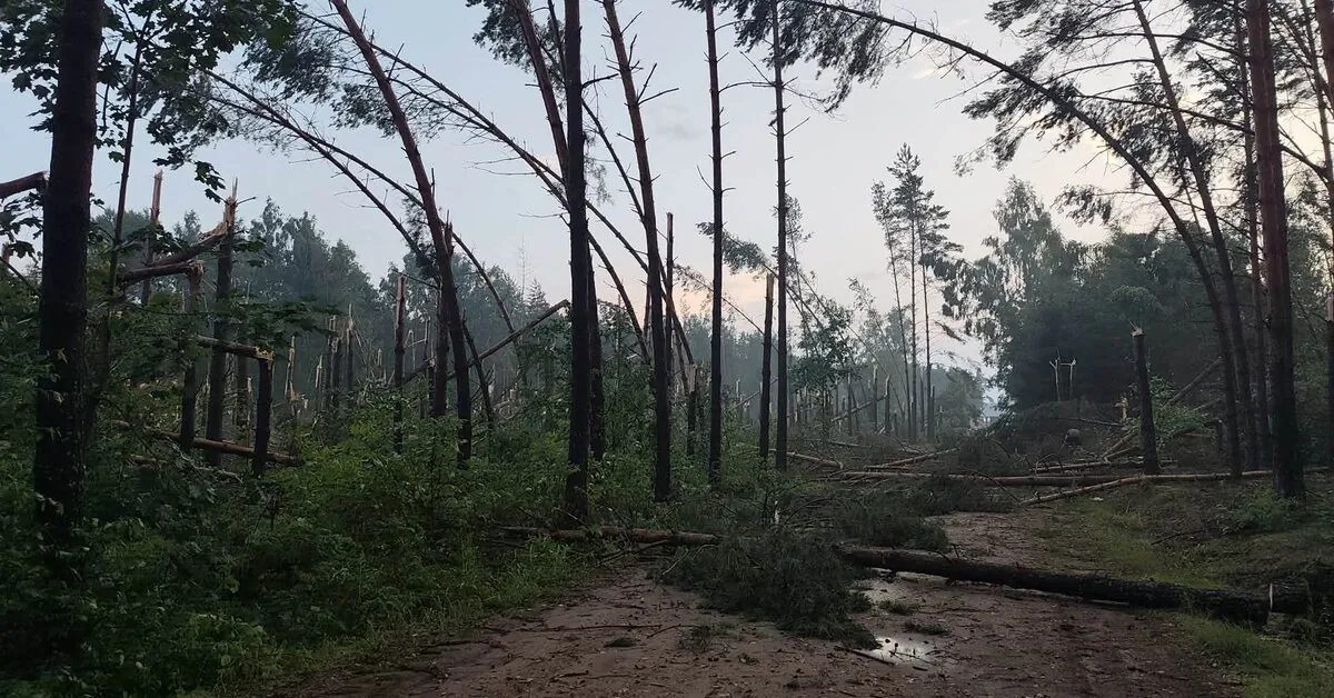 The aftermath of the storm that ravaged Lithuania becomes clear