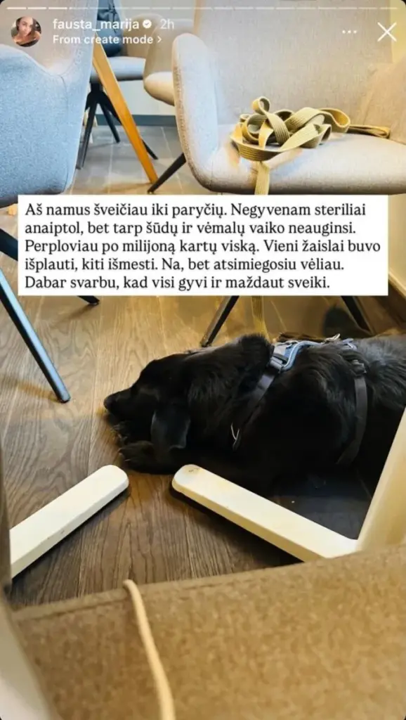 Soc. tinklų nuotr./Faustos Marijos Leščiauskaitės įrašai