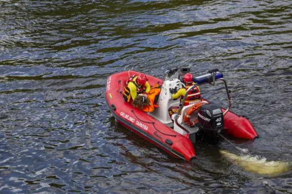 In the center of Vilnius, services were searching for a person who possibly jumped from the bridge