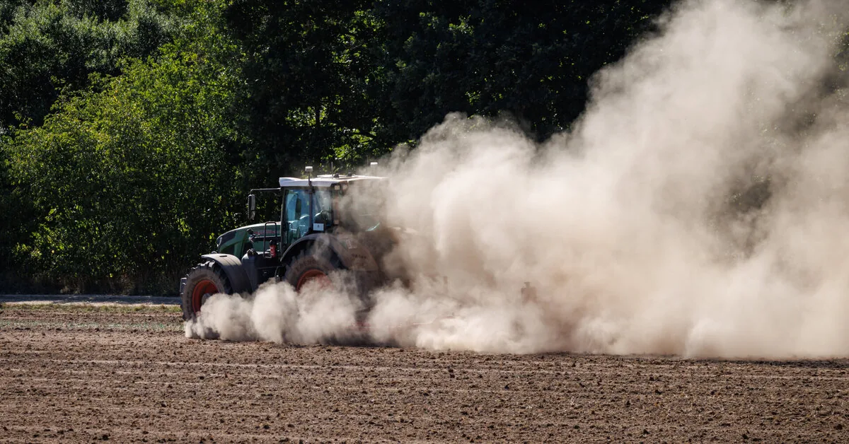 German farmers warn: a significant amount of the harvest will be lost due to drought