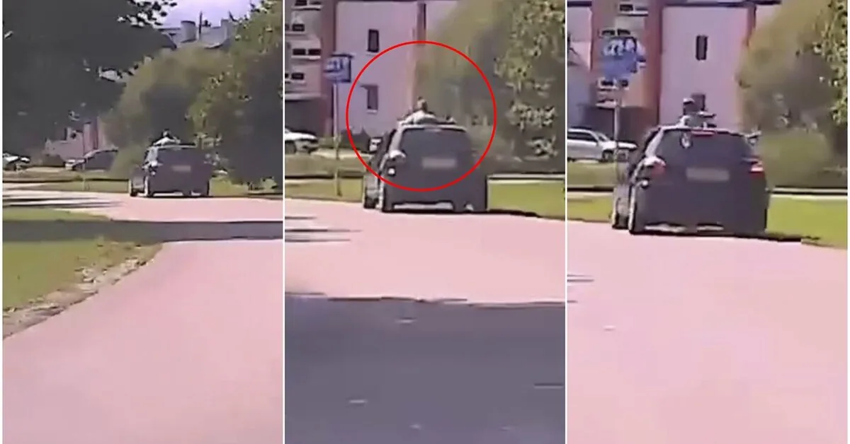 „Crawled out of the hatch and almost fell“: a chilling captured image in Latvia