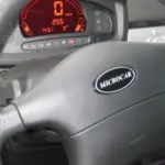 A seventeen-year-old drunk driver detained in Alytus