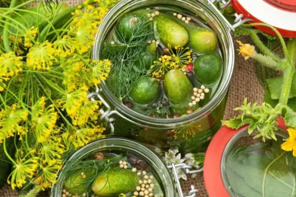 Don't pour out the pickle brine: 6 unexpected ideas on how to use it in the kitchen