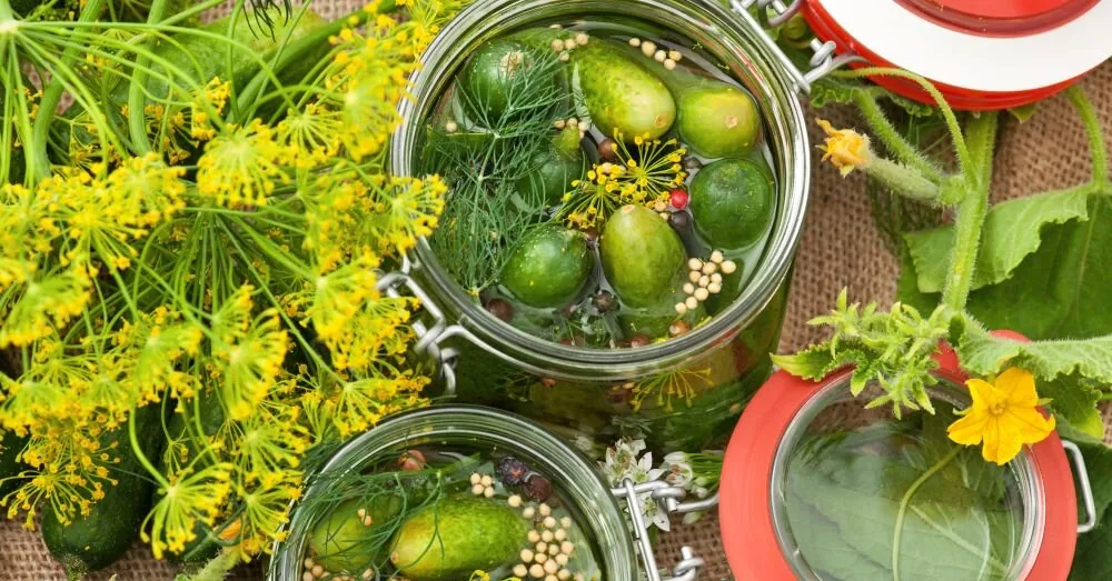 Don't pour out the pickle brine: 6 unexpected ideas on how to use it in the kitchen