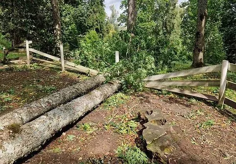 Storm-damaged Taujėnai Manor Park
