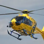 2 women and 1 child dead: boars caused a terrible accident in the Czech Republic