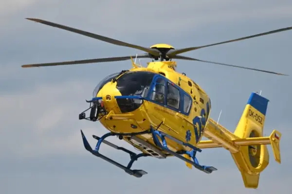 2 women and 1 child dead: boars caused a terrible accident in the Czech Republic